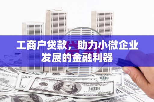 芙蓉工商户贷款，助力小微企业发展的金融利器