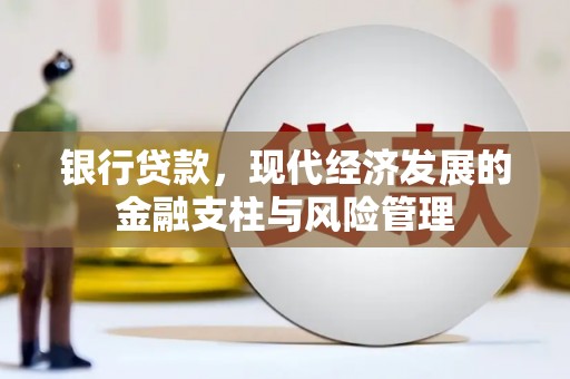 芙蓉银行贷款，现代经济发展的金融支柱与风险管理