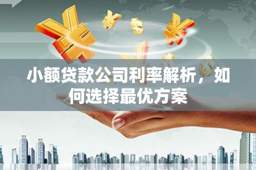 芙蓉小额贷款公司利率解析，如何选择最优方案