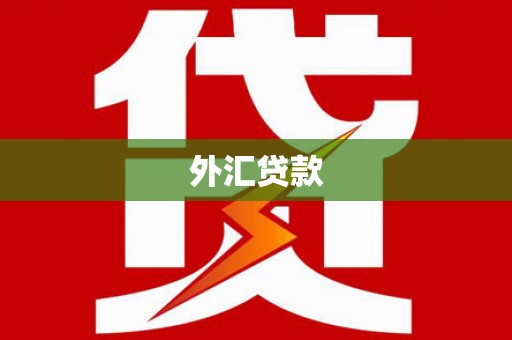 芙蓉外汇贷款