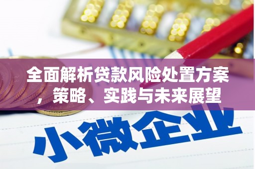 芙蓉全面解析贷款风险处置方案，策略、实践与未来展望