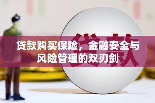 芙蓉贷款购买保险，金融安全与风险管理的双刃剑