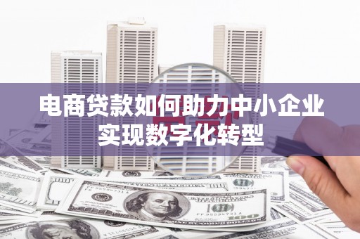 芙蓉电商贷款如何助力中小企业实现数字化转型