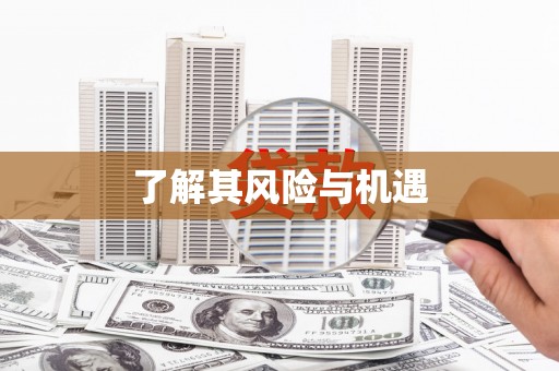 芙蓉了解其风险与机遇