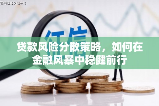 芙蓉贷款风险分散策略，如何在金融风暴中稳健前行