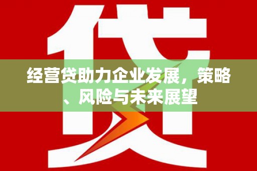 芙蓉经营贷助力企业发展，策略、风险与未来展望