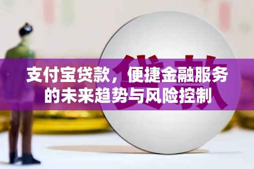 芙蓉支付宝贷款，便捷金融服务的未来趋势与风险控制