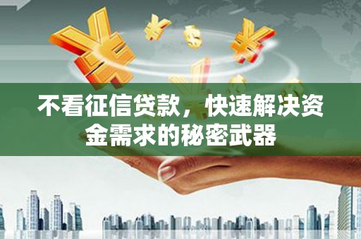 芙蓉不看征信贷款，快速解决资金需求的秘密武器