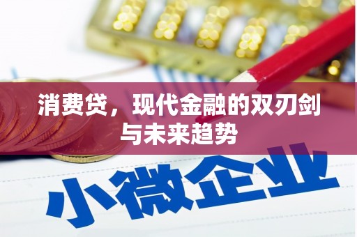 芙蓉消费贷，现代金融的双刃剑与未来趋势