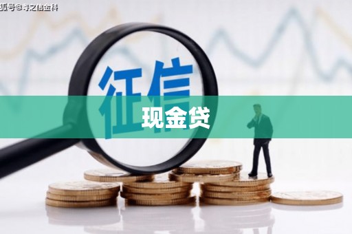 芙蓉现金贷