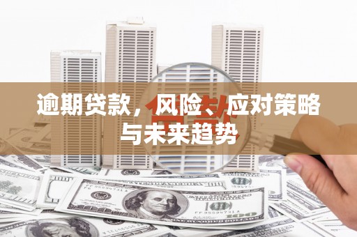 芙蓉逾期贷款，风险、应对策略与未来趋势