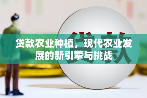 芙蓉贷款农业种植，现代农业发展的新引擎与挑战