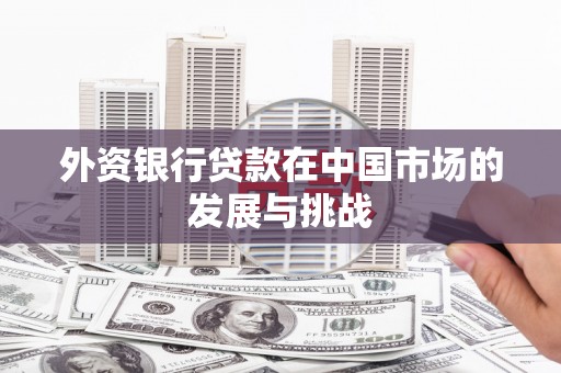芙蓉外资银行贷款在中国市场的发展与挑战