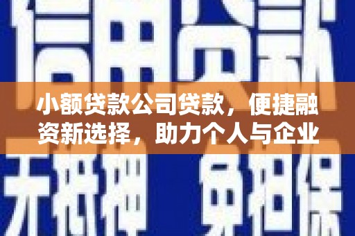 芙蓉小额贷款公司贷款，便捷融资新选择，助力个人与企业成长