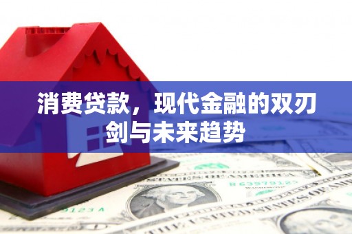 芙蓉消费贷款，现代金融的双刃剑与未来趋势