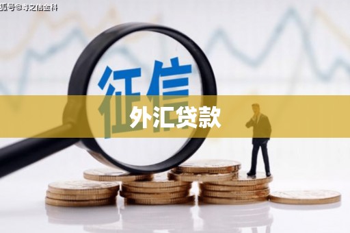 芙蓉外汇贷款