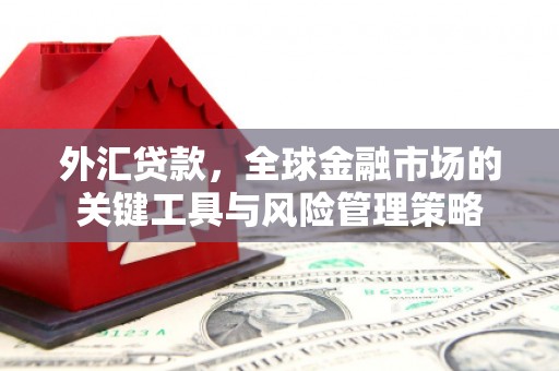 芙蓉外汇贷款，全球金融市场的关键工具与风险管理策略