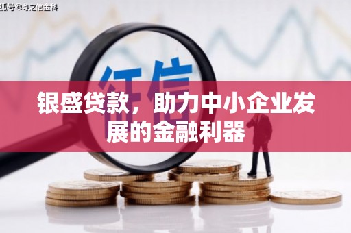 芙蓉银盛贷款，助力中小企业发展的金融利器