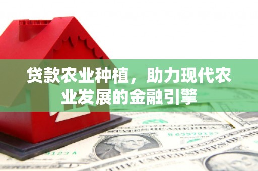 芙蓉贷款农业种植，助力现代农业发展的金融引擎