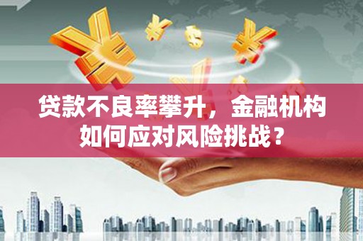 芙蓉贷款不良率攀升，金融机构如何应对风险挑战？