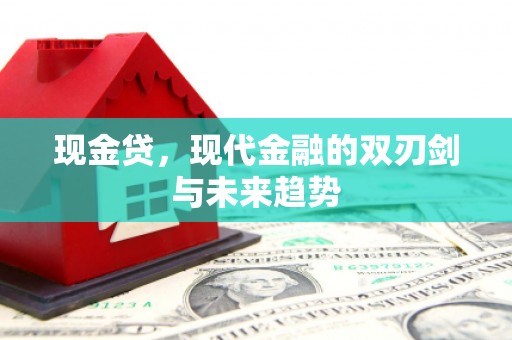 芙蓉现金贷，现代金融的双刃剑与未来趋势