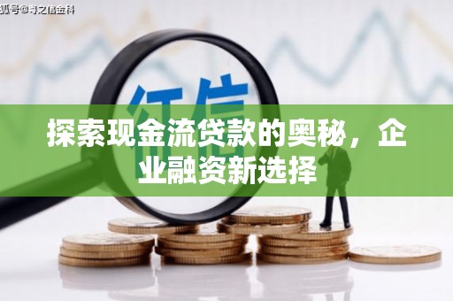 芙蓉探索现金流贷款的奥秘，企业融资新选择