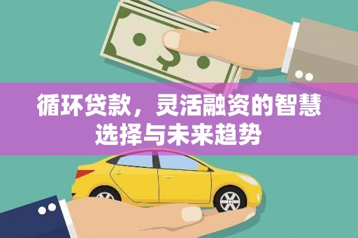 芙蓉循环贷款，灵活融资的智慧选择与未来趋势