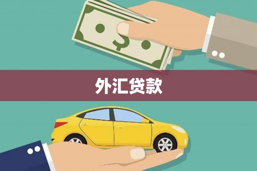 芙蓉外汇贷款