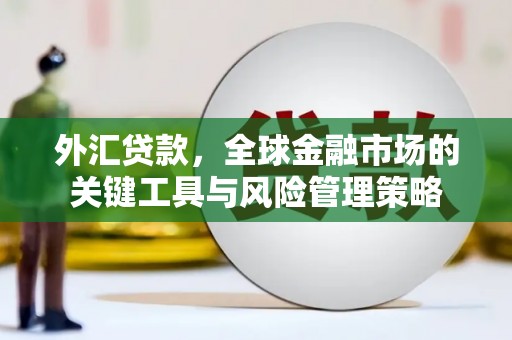 芙蓉外汇贷款，全球金融市场的关键工具与风险管理策略