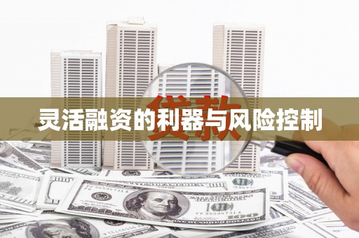芙蓉灵活融资的利器与风险控制