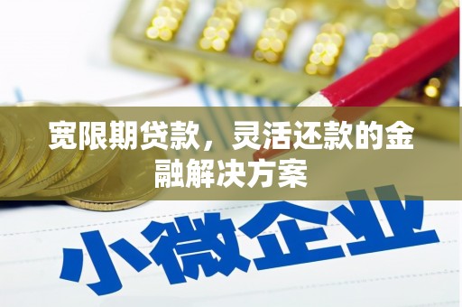 芙蓉宽限期贷款，灵活还款的金融解决方案