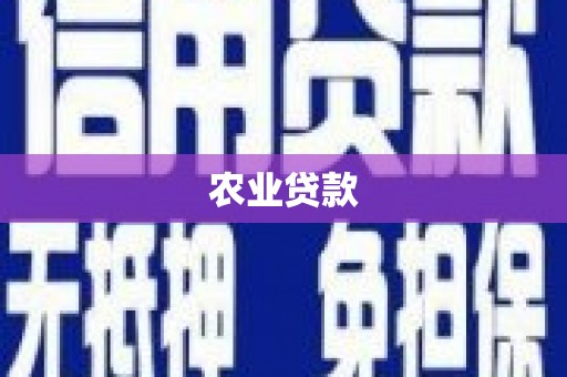 芙蓉农业贷款