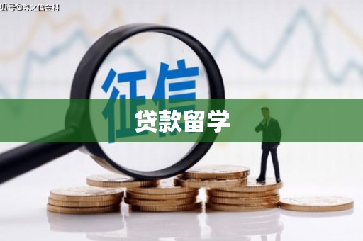 芙蓉贷款留学