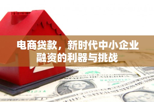 芙蓉电商贷款，新时代中小企业融资的利器与挑战
