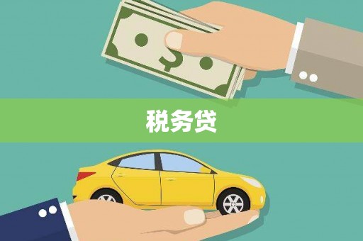 芙蓉税务贷