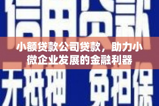 芙蓉小额贷款公司贷款，助力小微企业发展的金融利器
