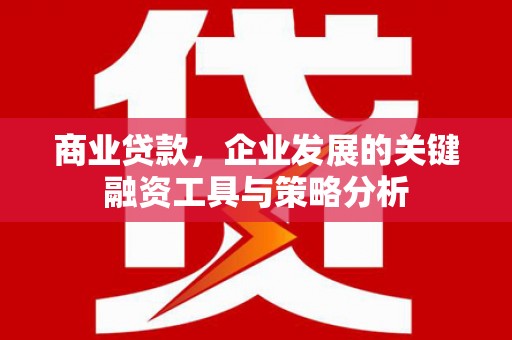 芙蓉商业贷款，企业发展的关键融资工具与策略分析