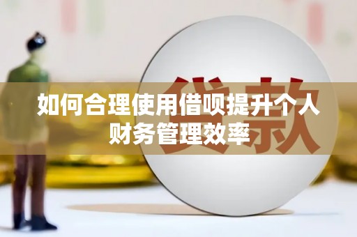 芙蓉如何合理使用借呗提升个人财务管理效率