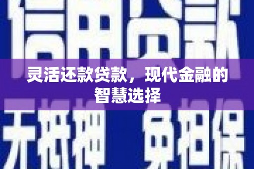 芙蓉灵活还款贷款，现代金融的智慧选择