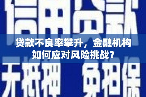 芙蓉贷款不良率攀升，金融机构如何应对风险挑战？