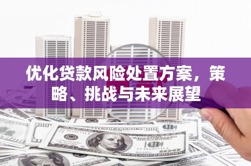 芙蓉优化贷款风险处置方案，策略、挑战与未来展望