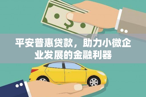 芙蓉平安普惠贷款，助力小微企业发展的金融利器