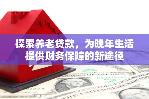 芙蓉探索养老贷款，为晚年生活提供财务保障的新途径
