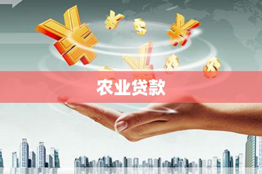 芙蓉农业贷款