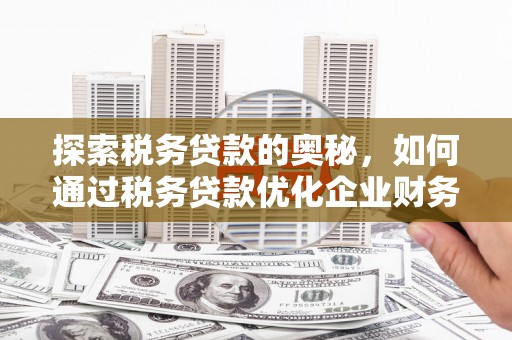 芙蓉探索税务贷款的奥秘，如何通过税务贷款优化企业财务