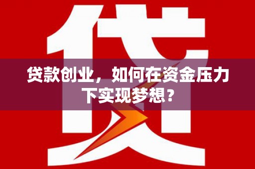 芙蓉贷款创业，如何在资金压力下实现梦想？