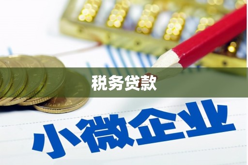 芙蓉税务贷款