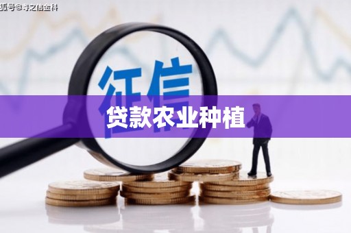 芙蓉贷款农业种植