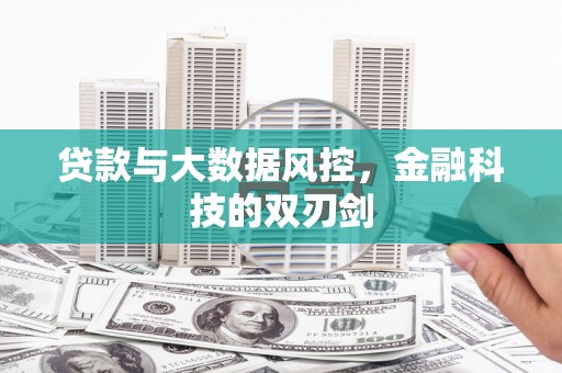 芙蓉贷款与大数据风控，金融科技的双刃剑