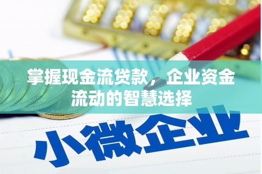 芙蓉掌握现金流贷款，企业资金流动的智慧选择
